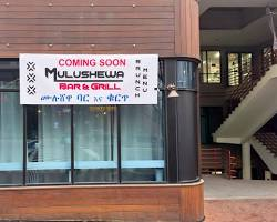 mulushewa grill and bar silver spring reviews