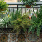 Small Balcony Garden Ideas That Look Like a Luxury Outdoor Oasis